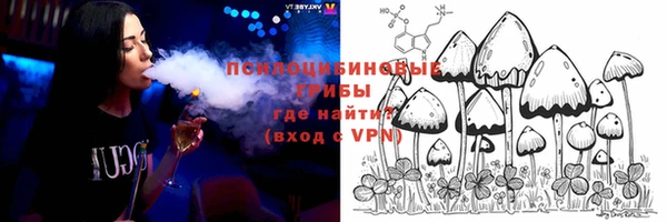 прущие грибы Михайлов