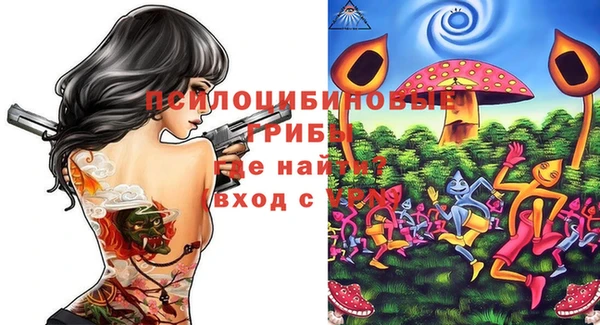 эйфоретик Медногорск