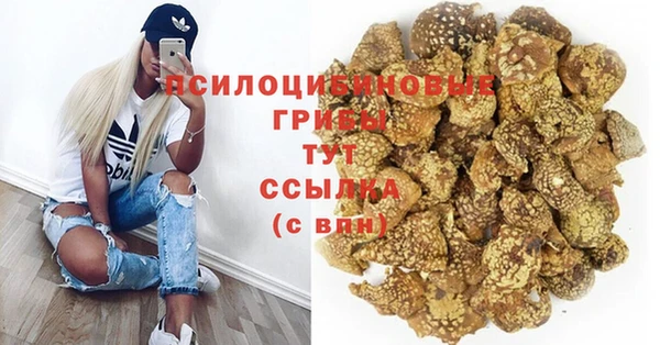 эйфоретик Медногорск