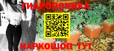 каннабис Волжский