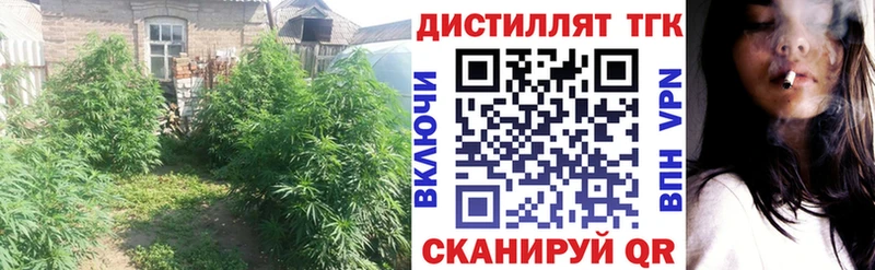 ТГК вейп с тгк  наркотики  Кызыл 