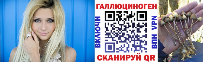 даркнет сайт  MEGA рабочий сайт  Псилоцибиновые грибы Psilocybine cubensis  Кызыл 