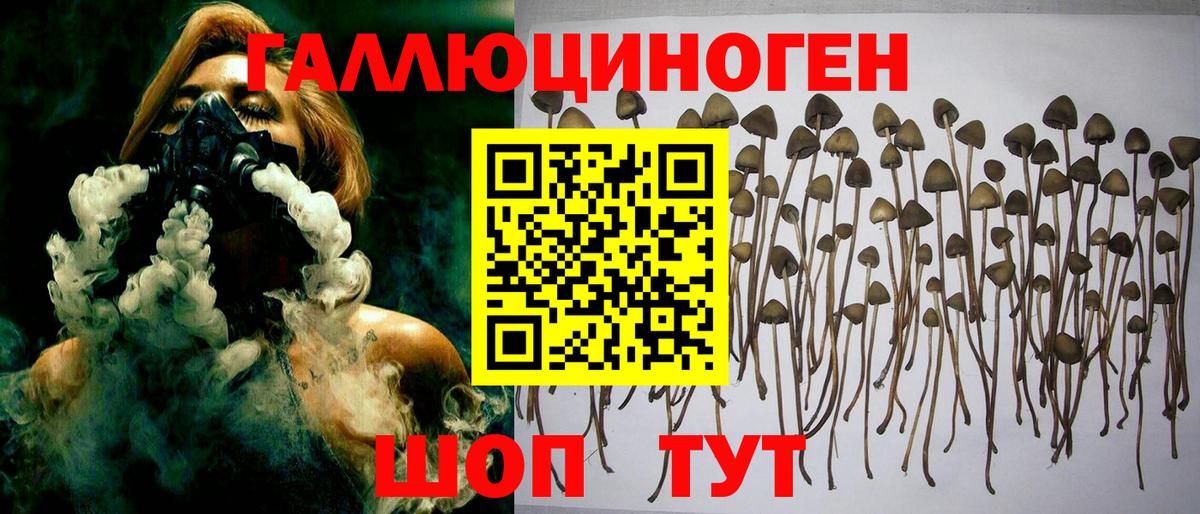 Кызыл  Галлюциногенные грибы мухоморы  Псилоцибиновые грибы Magic Shrooms  Вход с VPN 
