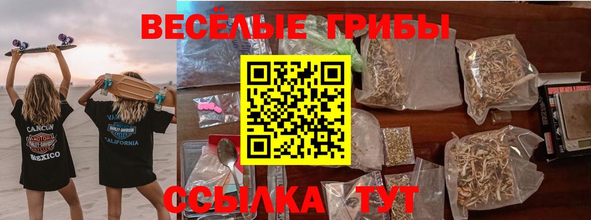Галлюциногенные грибы прущие грибы Кызыл